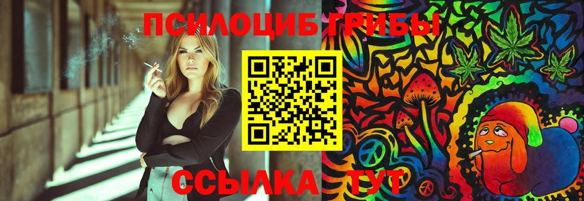 Галлюциногенные грибы Cubensis Малгобек