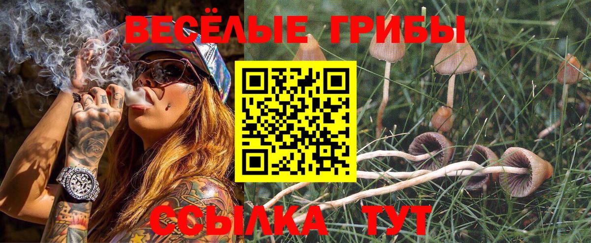 Галлюциногенные грибы Psilocybine cubensis  Вход с VPN  Малгобек  Псилоцибиновые грибы Cubensis 